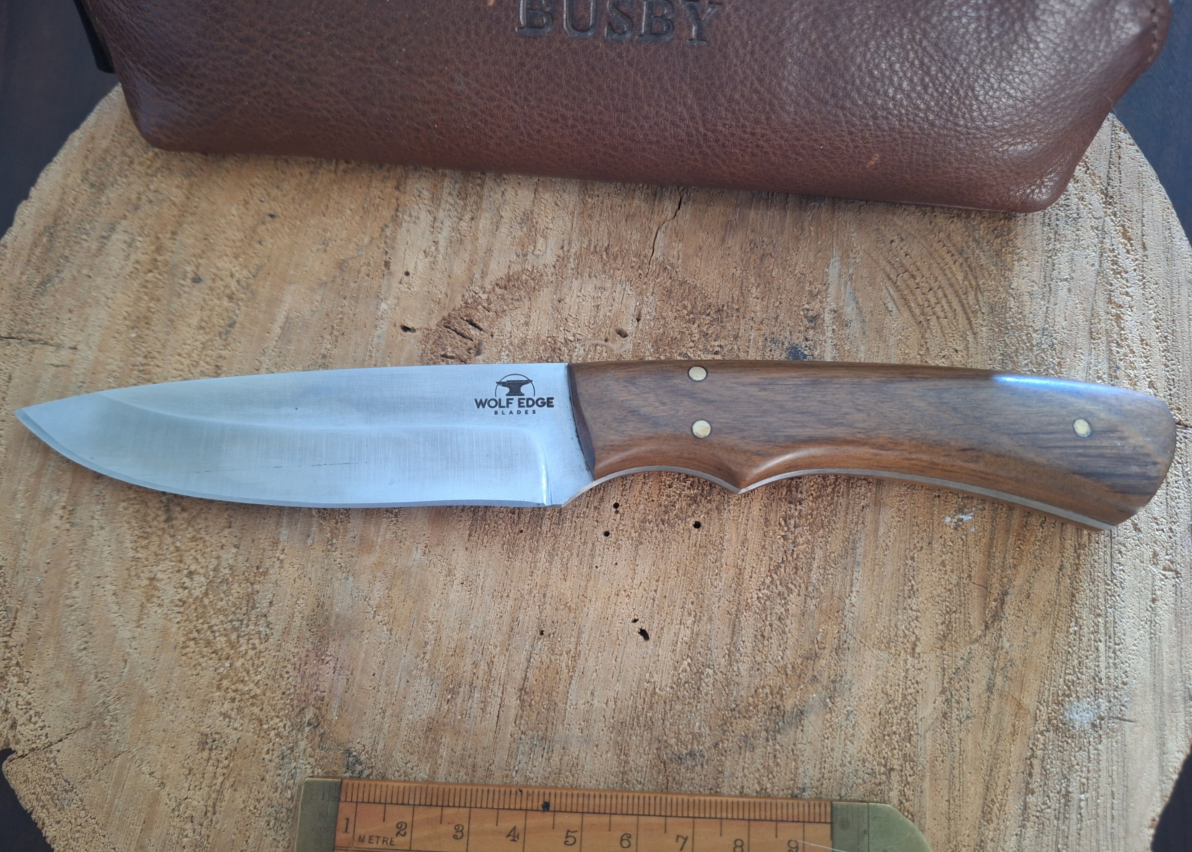 Tamboti Hunter